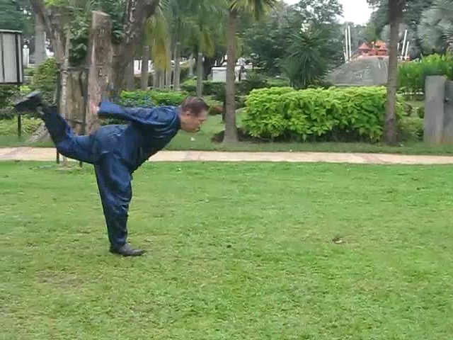 Shaolin 36 Leg Techniques